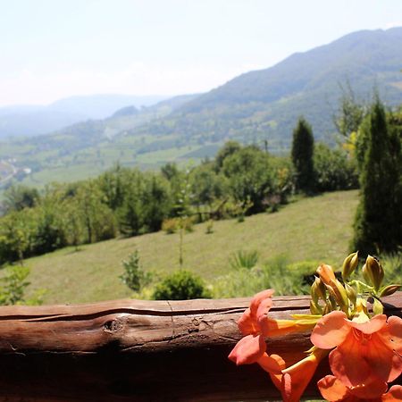 Visoko Gorani Cottage Kültér fotó