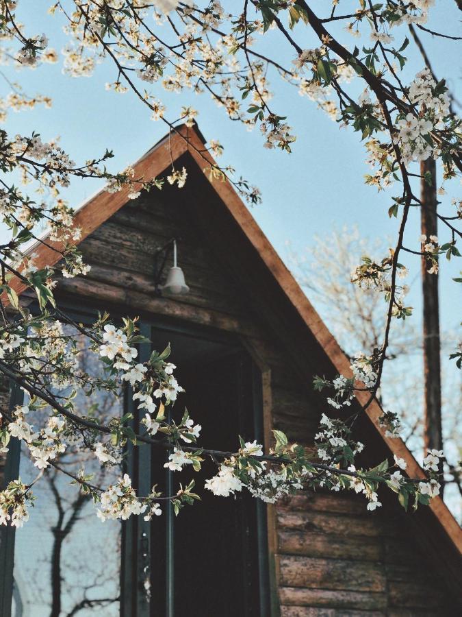 Visoko Gorani Cottage Kültér fotó