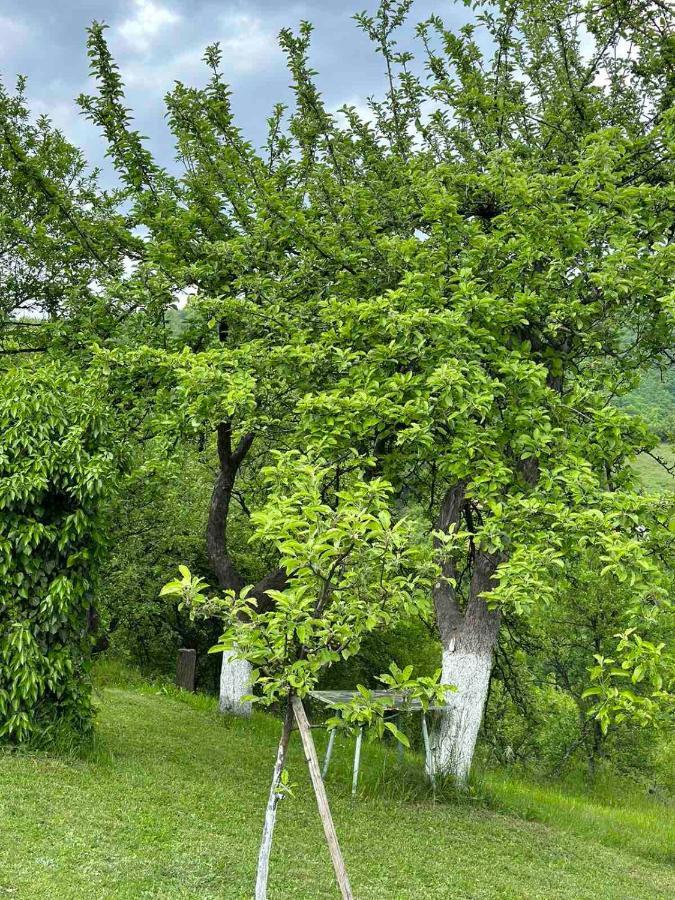 Visoko Gorani Cottage Kültér fotó