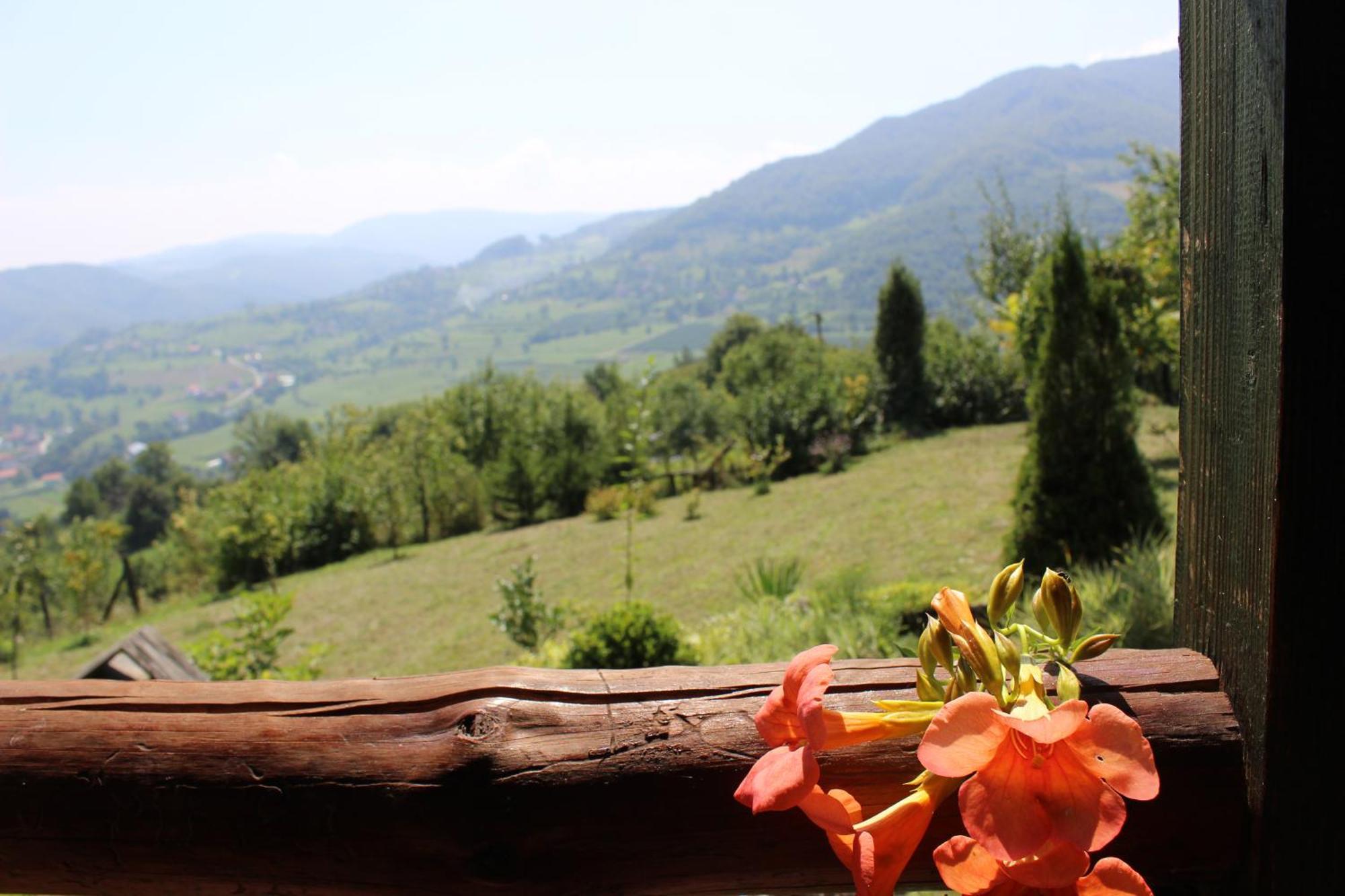 Visoko Gorani Cottage Kültér fotó