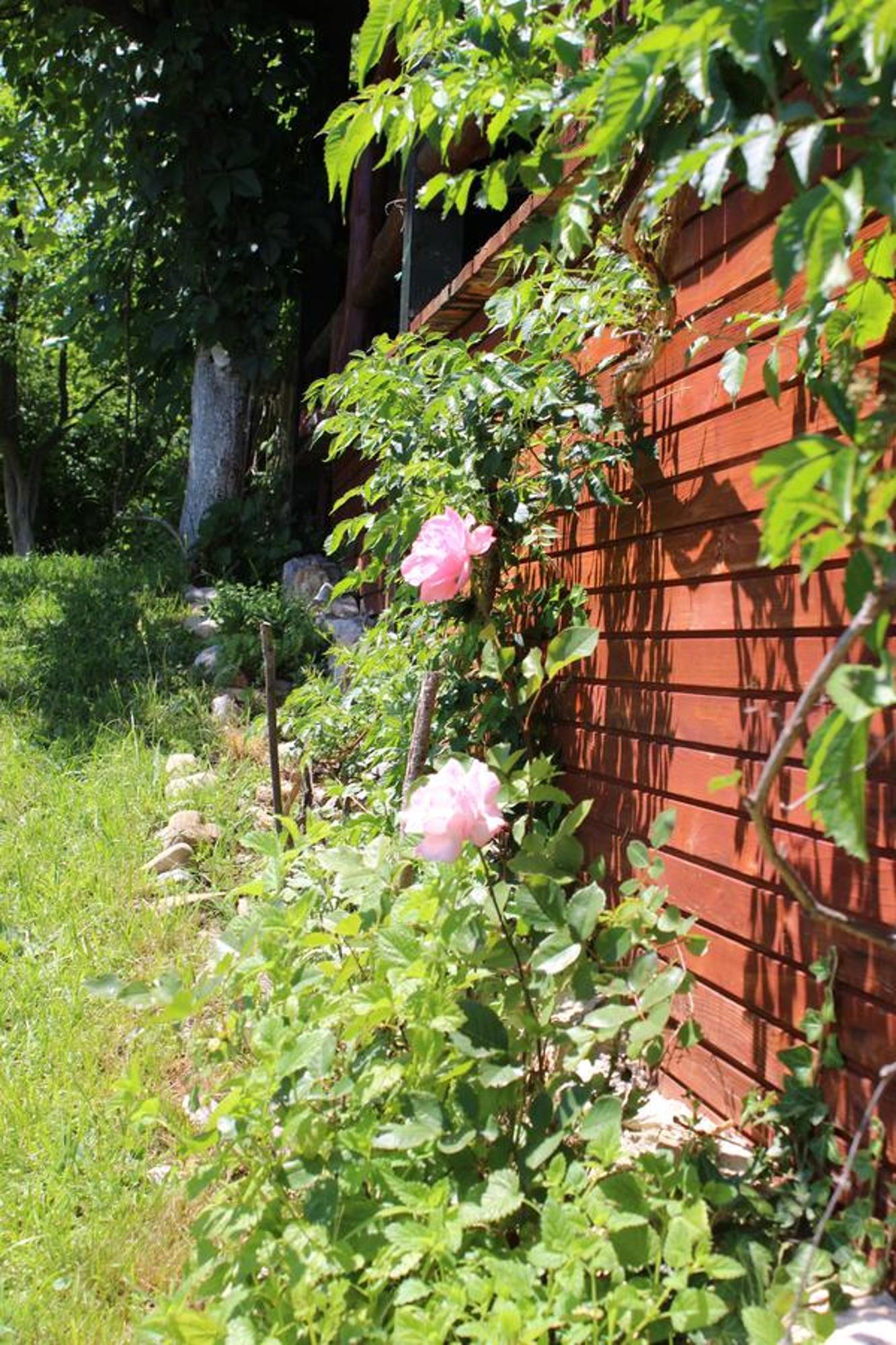 Visoko Gorani Cottage Kültér fotó